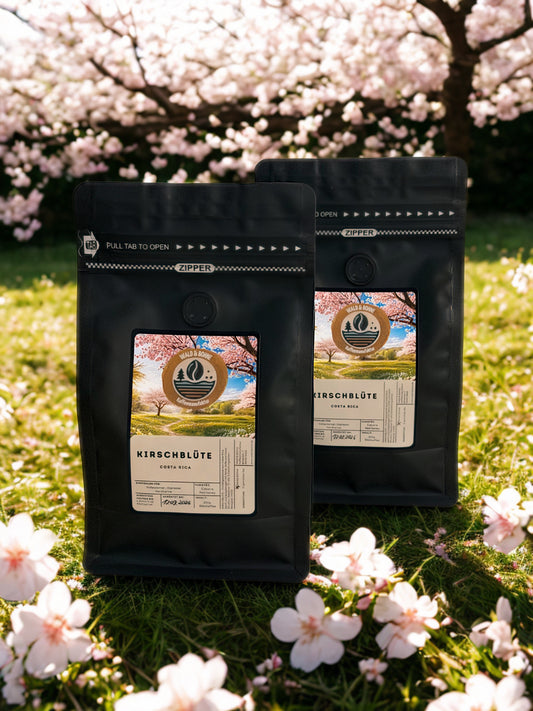 KIRSCHBLÜTE