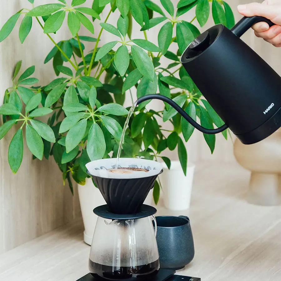 Wasserkocher Hario Lyra 800 ml
