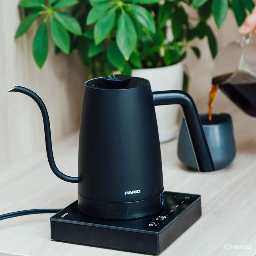 Wasserkocher Hario Lyra 800 ml