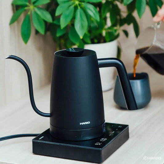 Wasserkocher Hario Lyra 800 ml