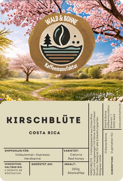 KIRSCHBLÜTE