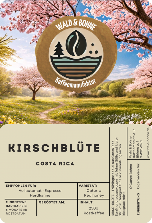 KIRSCHBLÜTE