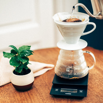 Hario V60 Range Server